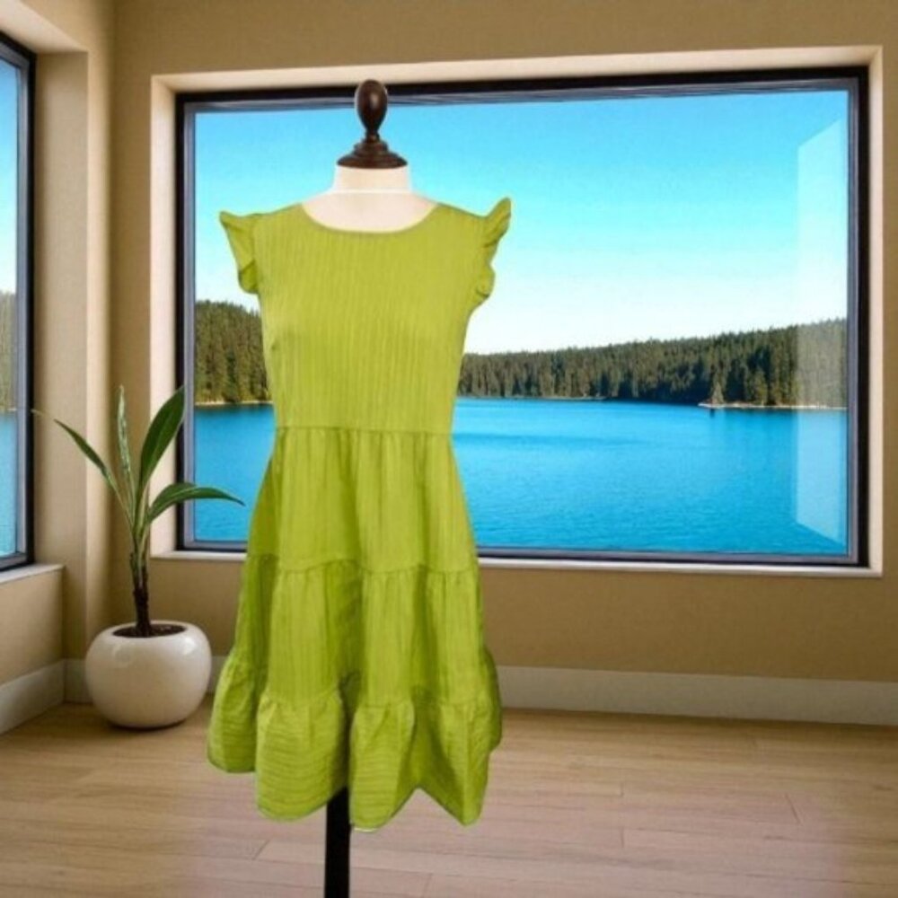 Anna-Kaci  Ruffle Shoulder Textured Dress - Picture 3 of 9